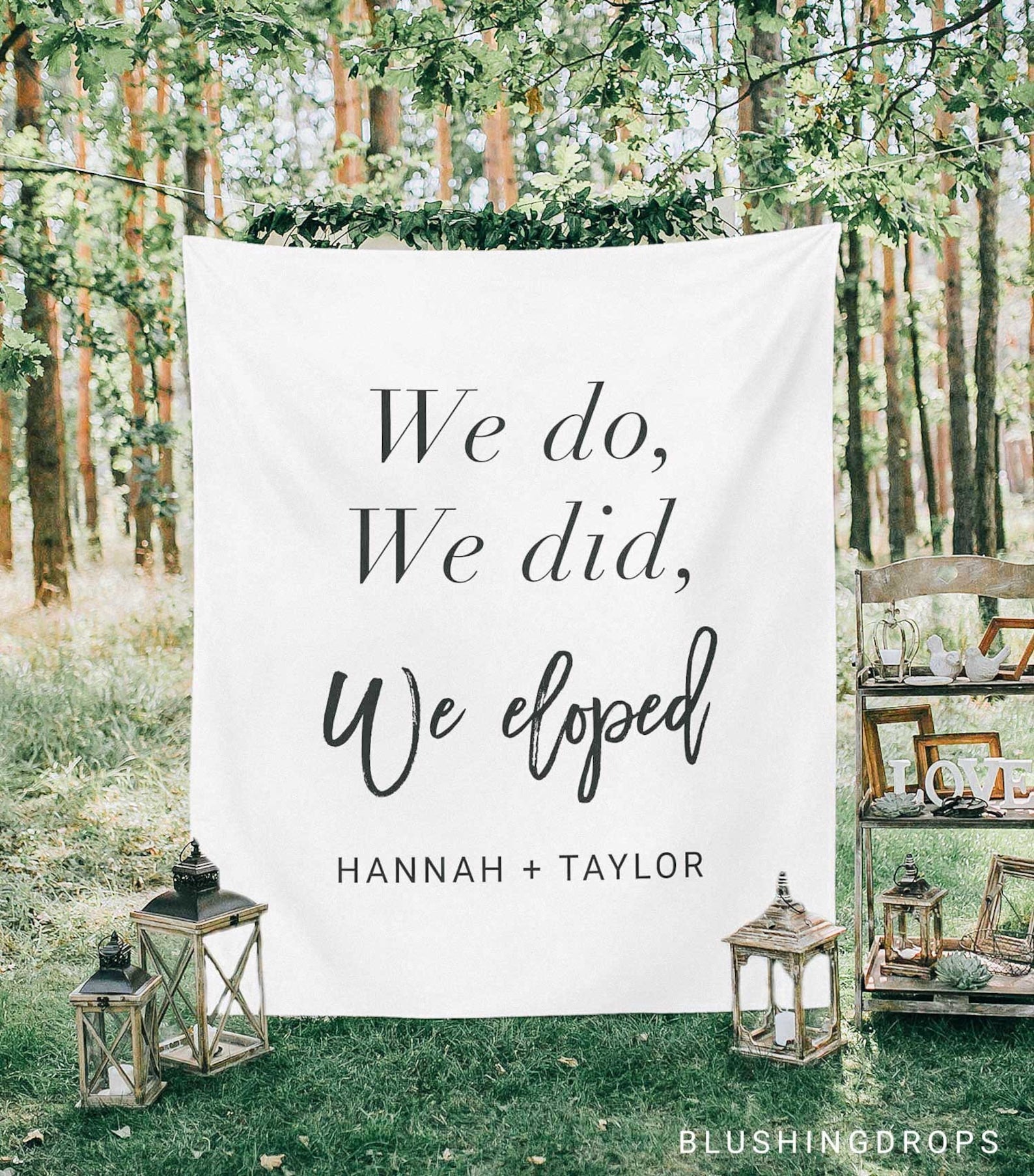 We Do We Did We Eloped Elopement Banner