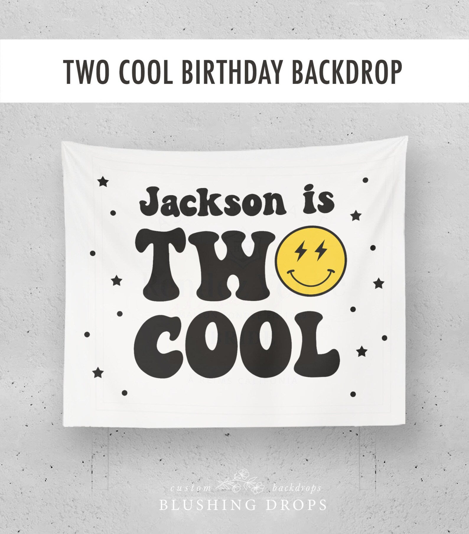 Two Cool Retro Boy 2nd Birthday Backdrop