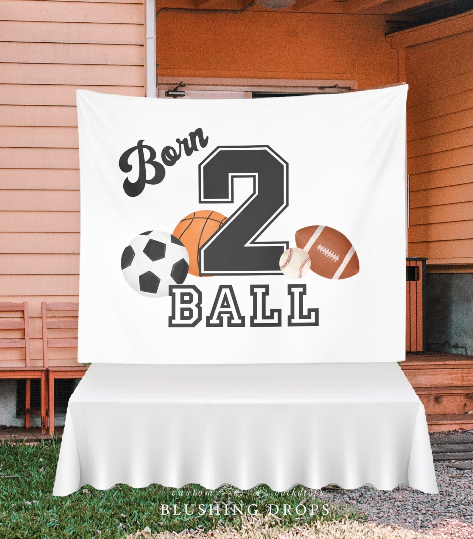 Born 2 Ball Boy 2nd Birthday Backdrop