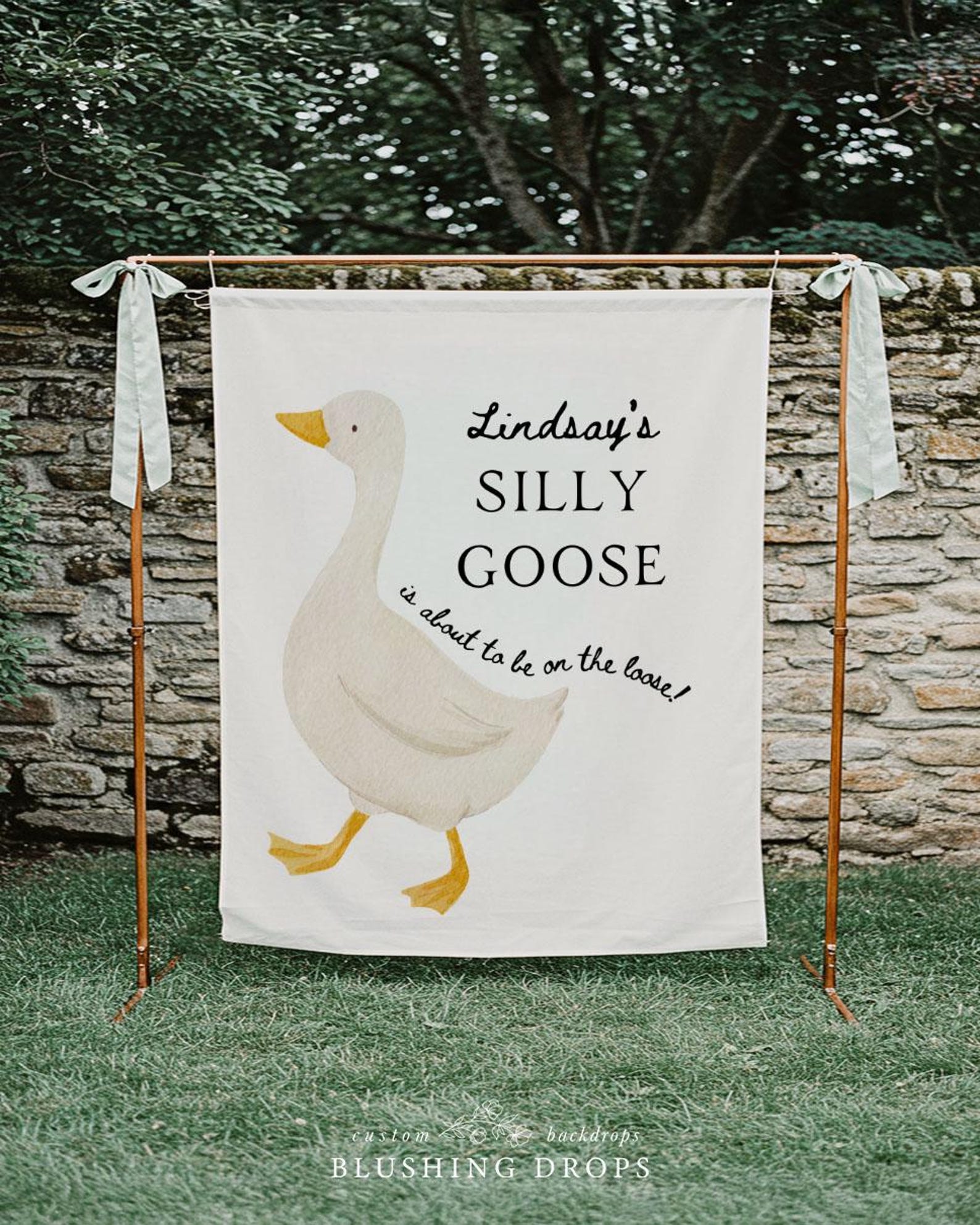 A New Silly Goose Baby Shower Backdrop